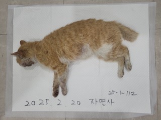 논산시 동물보호센터_444454202500101
